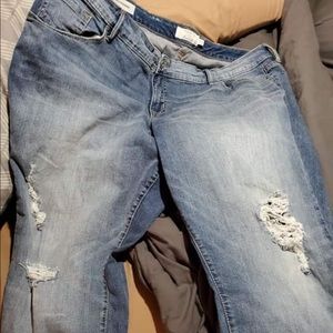 Torrid boyfriend got Capri pants